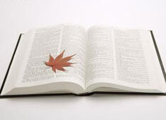 冷门但实用 ｜ 蘑菇视频电脑版 ｜ 蘑菇短视频…原来门槛就在这里