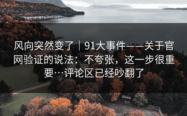 风向突然变了｜91大事件——关于官网验证的说法：不夸张，这一步很重要…评论区已经吵翻了